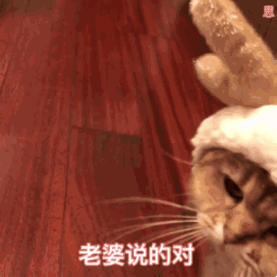 示例图片
